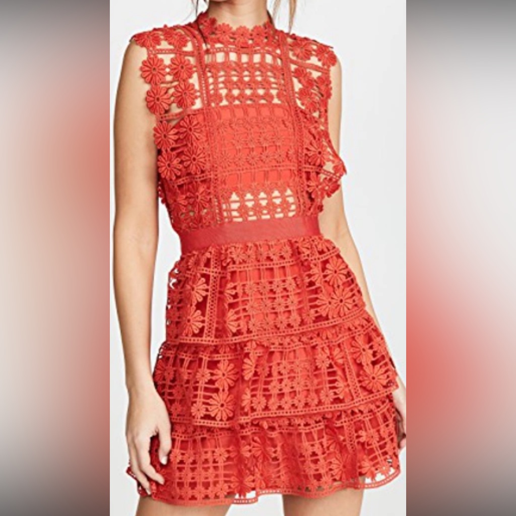 Self Portrait Red Floral Lace Dress